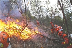 3月四川凉山通信光缆因森林火灾受损